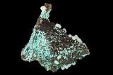 Aurichalcite, Malachite and Calcite Association - Utah #146183-1